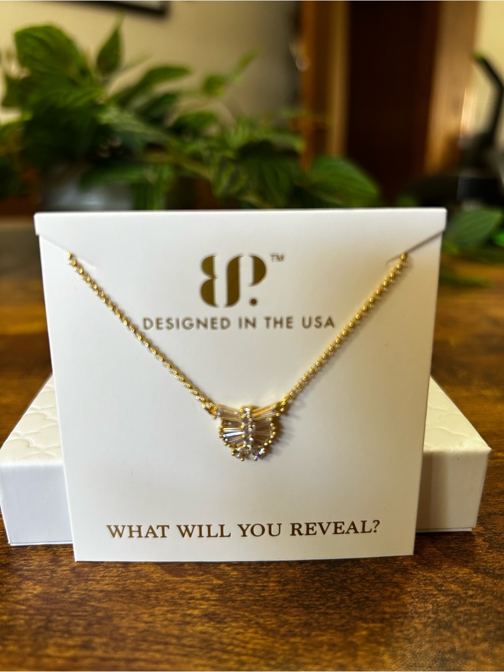 Bomb Party Vermeil Collection “Delicate Dreams” Necklace